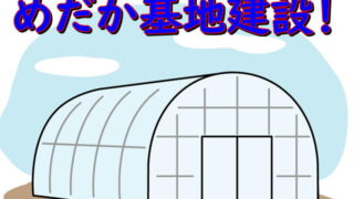 100均で買える道具を使って産卵床を作ってみました ホップめだか